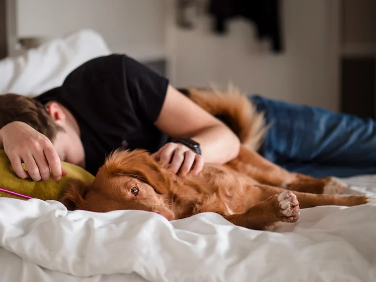 Dreaming of a Former Pet: Memory, Love and Grief